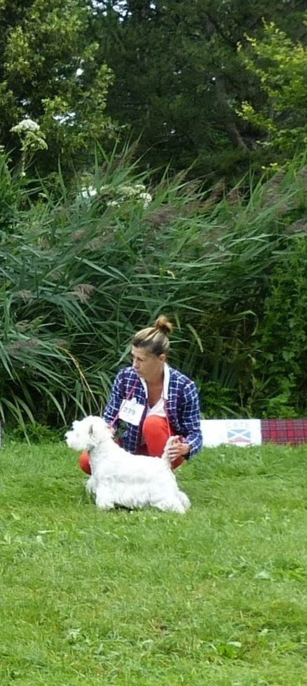 Shelby du clos des galinettes